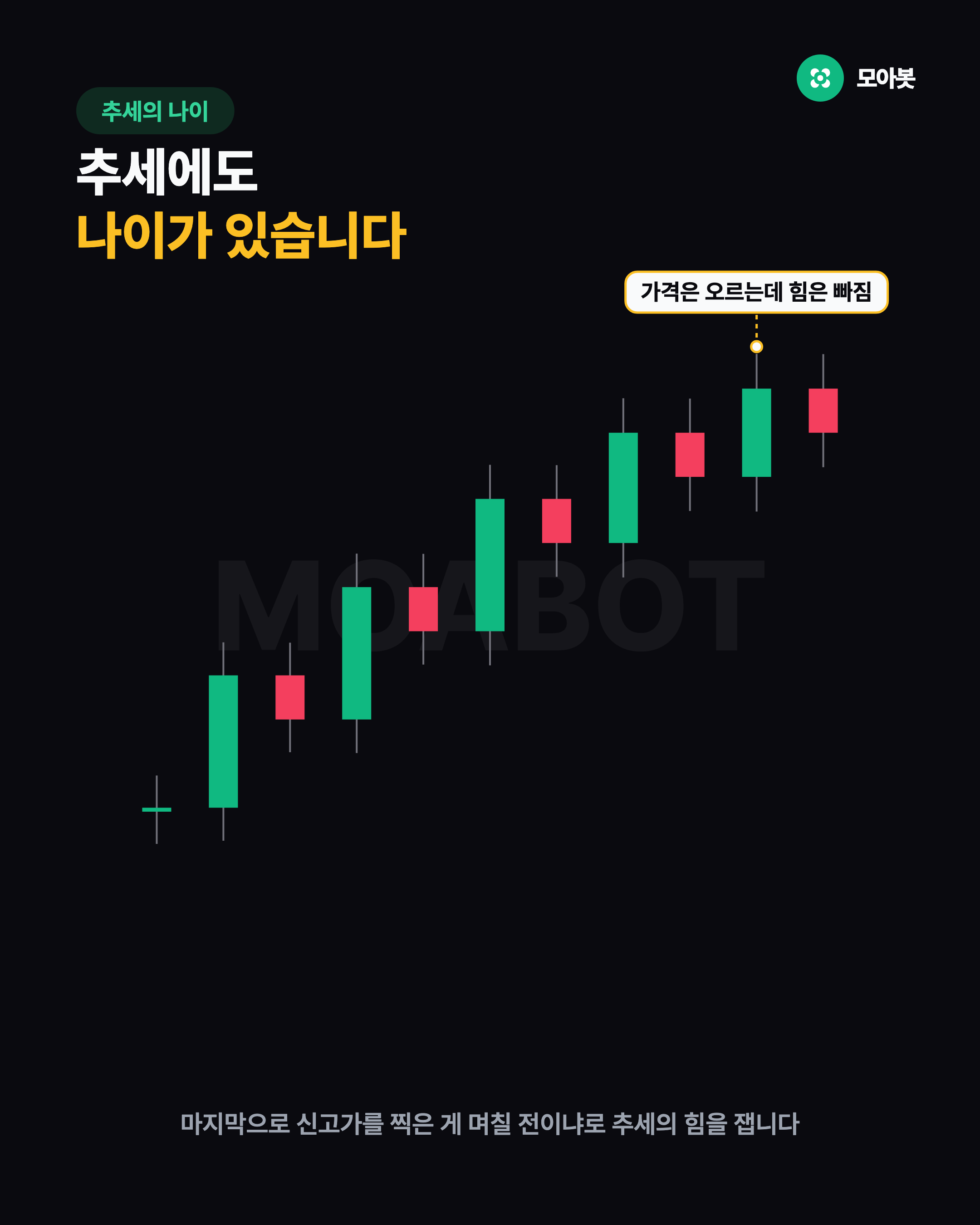 추세의 나이
